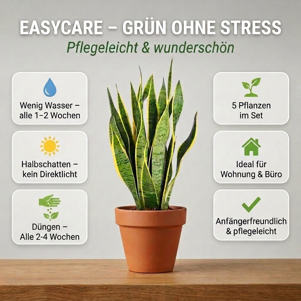 “EasyCare” Pflanzenset + 5x Seegraskorb | 5er-Set | ca. 30-60 cm | Ø 12-15 cm Topf