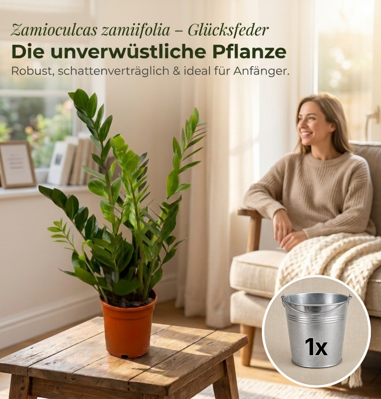 Glücksfeder + 1x Zinktopf | Zamioculcas zamiifolia | ca. 40-50 cm | Ø 12-15 cm Topf