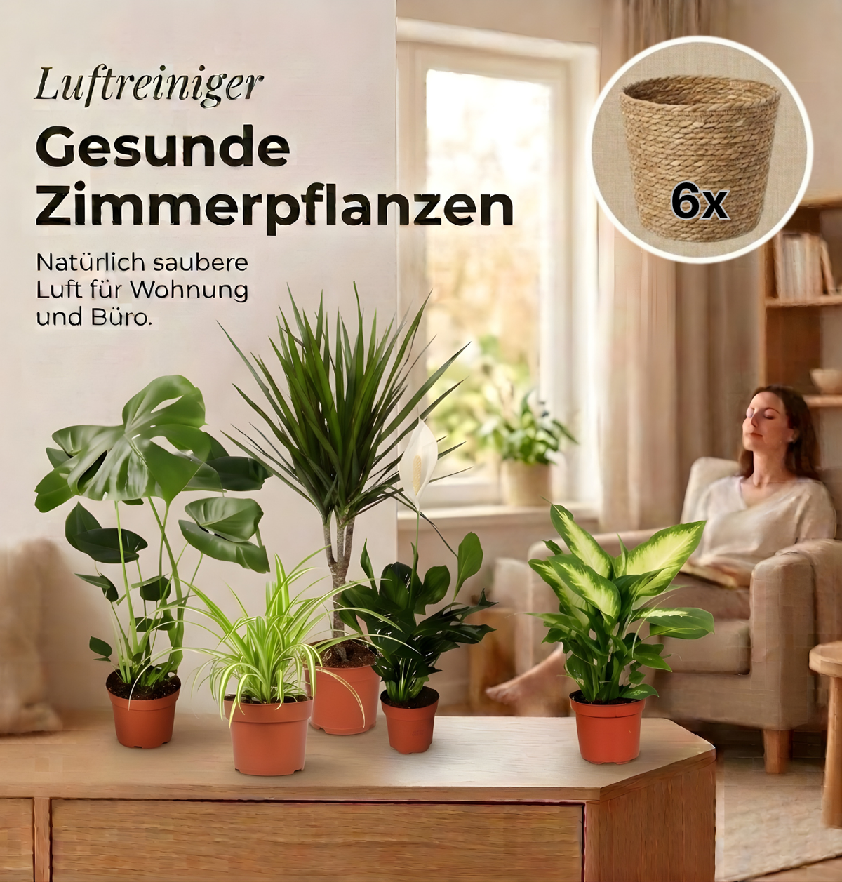 “Luftreiniger” Pflanzen-Set + 6x Seegraskorb | 6er-Set | ca. 40-70 cm | Ø 12-15 cm Topf