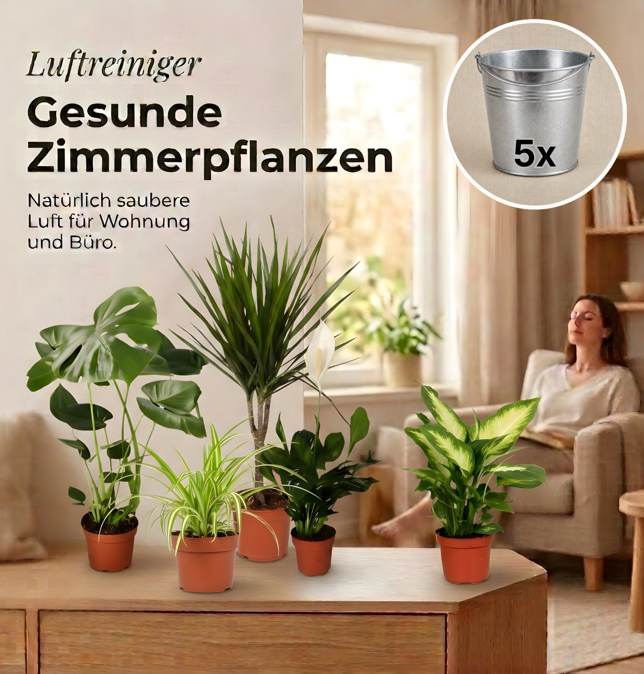 “Luftreiniger” Pflanzen-Set + Zinktopf | 5er-Set | ca. 40-70 cm | Ø 12-15 cm Topf