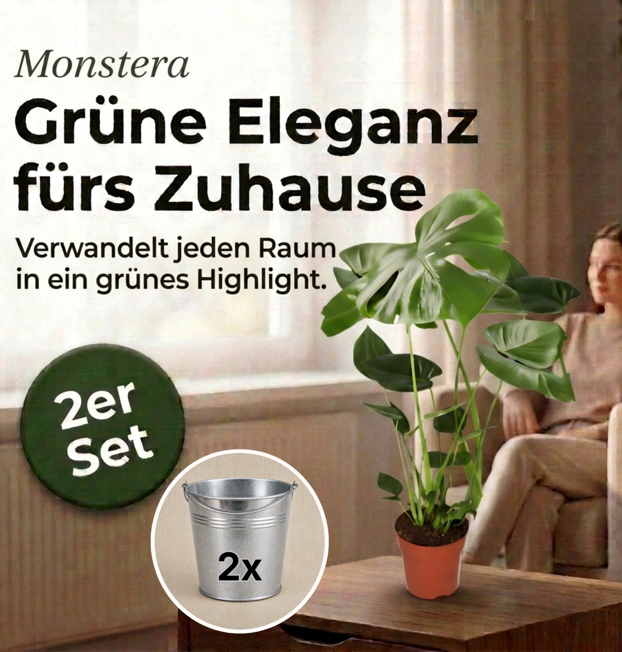 Monstera deliciosa + Zinktopf | 2er-Set | Fensterblatt | ca. 55-70 cm | Ø 12-15 cm Topf