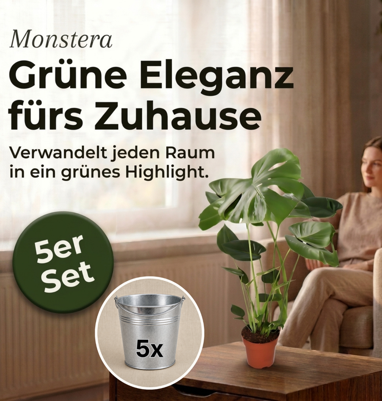 Monstera deliciosa + Zinktopf | 5er-Set | Fensterblatt | ca. 55-70 cm | Ø 12-15 cm Topf
