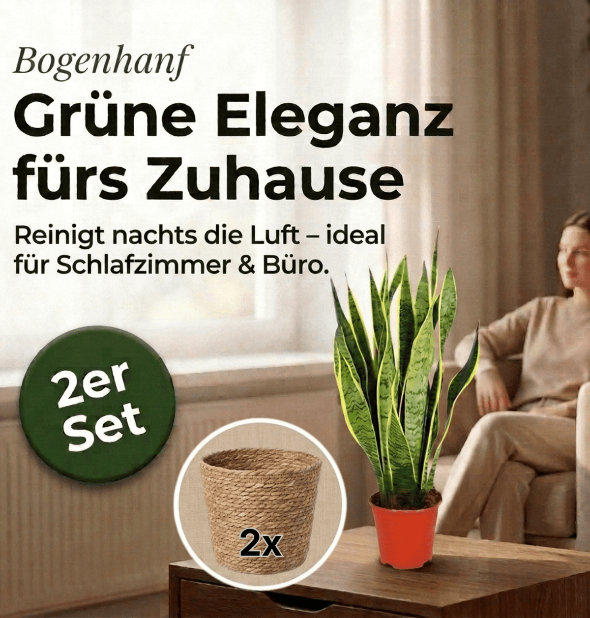 Bogenhanf + 2x Seegraskorb | 2er-Set | Sansevieria | ca. 40-50 cm | Ø 12-15 cm Topf - Blume Ideal