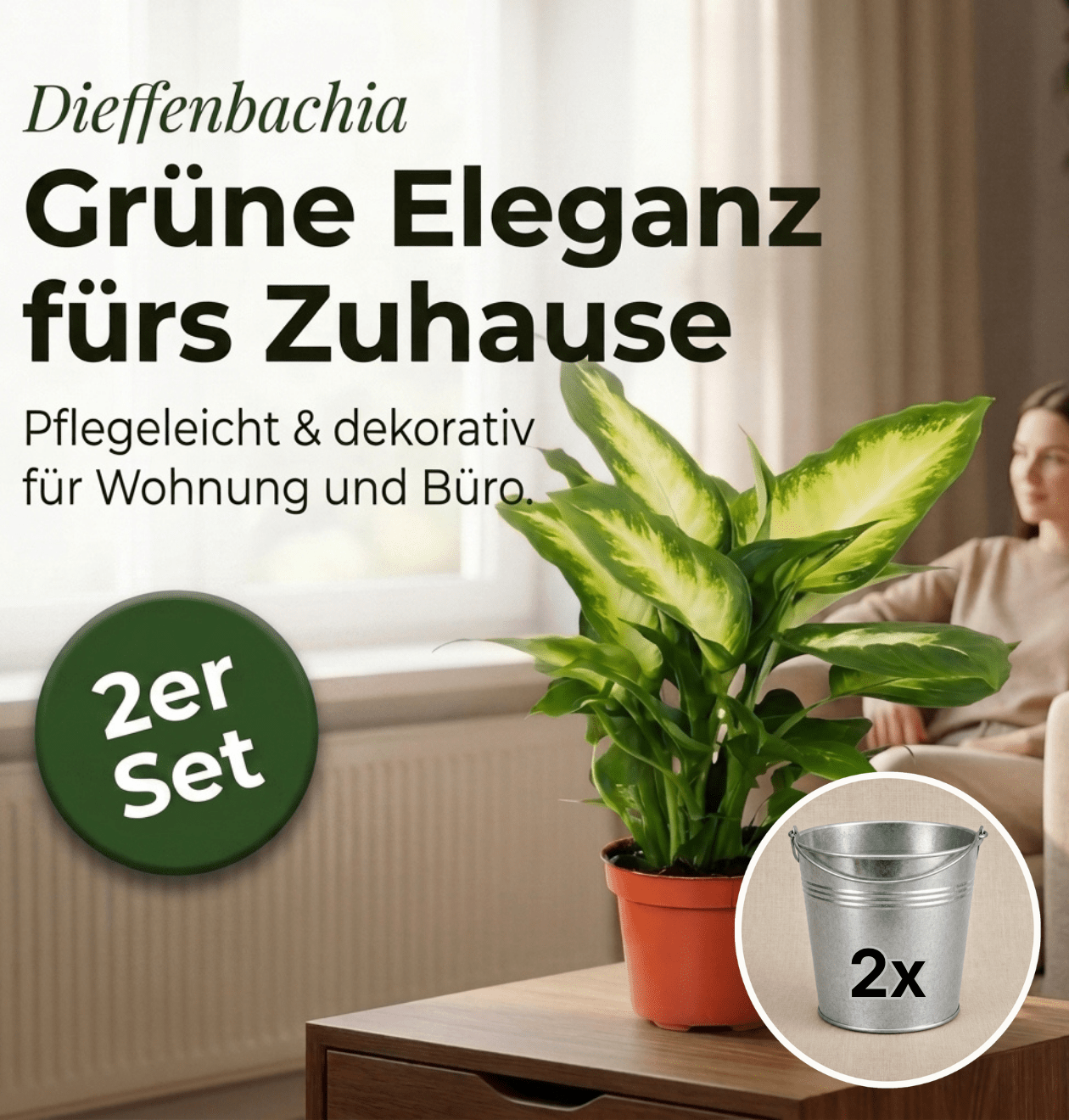 Dieffenbachia + 2x Zinktopf | 2er-Set | ca. 40-50 cm | Ø 12-15 cm Topf - Blume Ideal