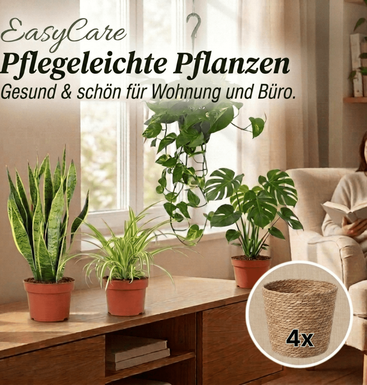 “EasyCare” Pflanzenset + 4x Seegraskorb | 4er-Set | ca. 30-60 cm | Ø 12-15 cm Topf - Blume Ideal