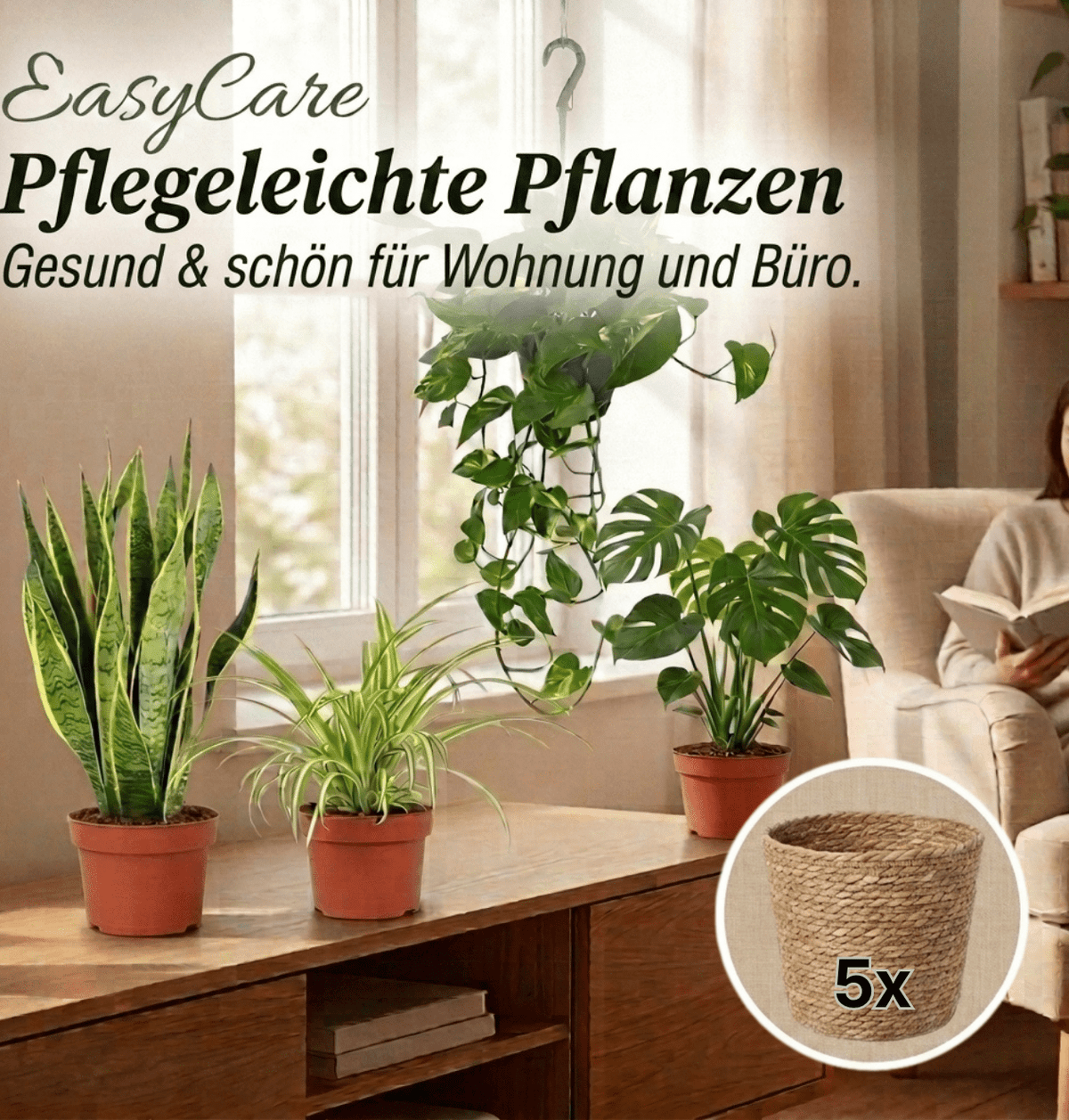 “EasyCare” Pflanzenset + 5x Seegraskorb | 5er-Set | ca. 30-60 cm | Ø 12-15 cm Topf - Blume Ideal
