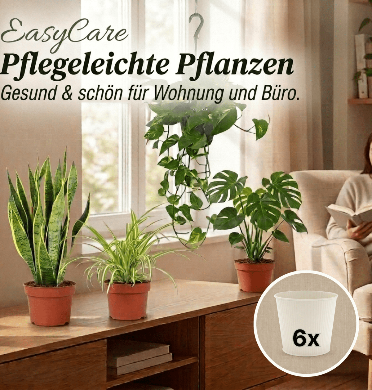 “EasyCare” Pflanzenset + 6x Cremefarbener Zinktopf | 6er-Set | ca. 30-60 cm | Ø 12-15 cm Topf - Blume Ideal