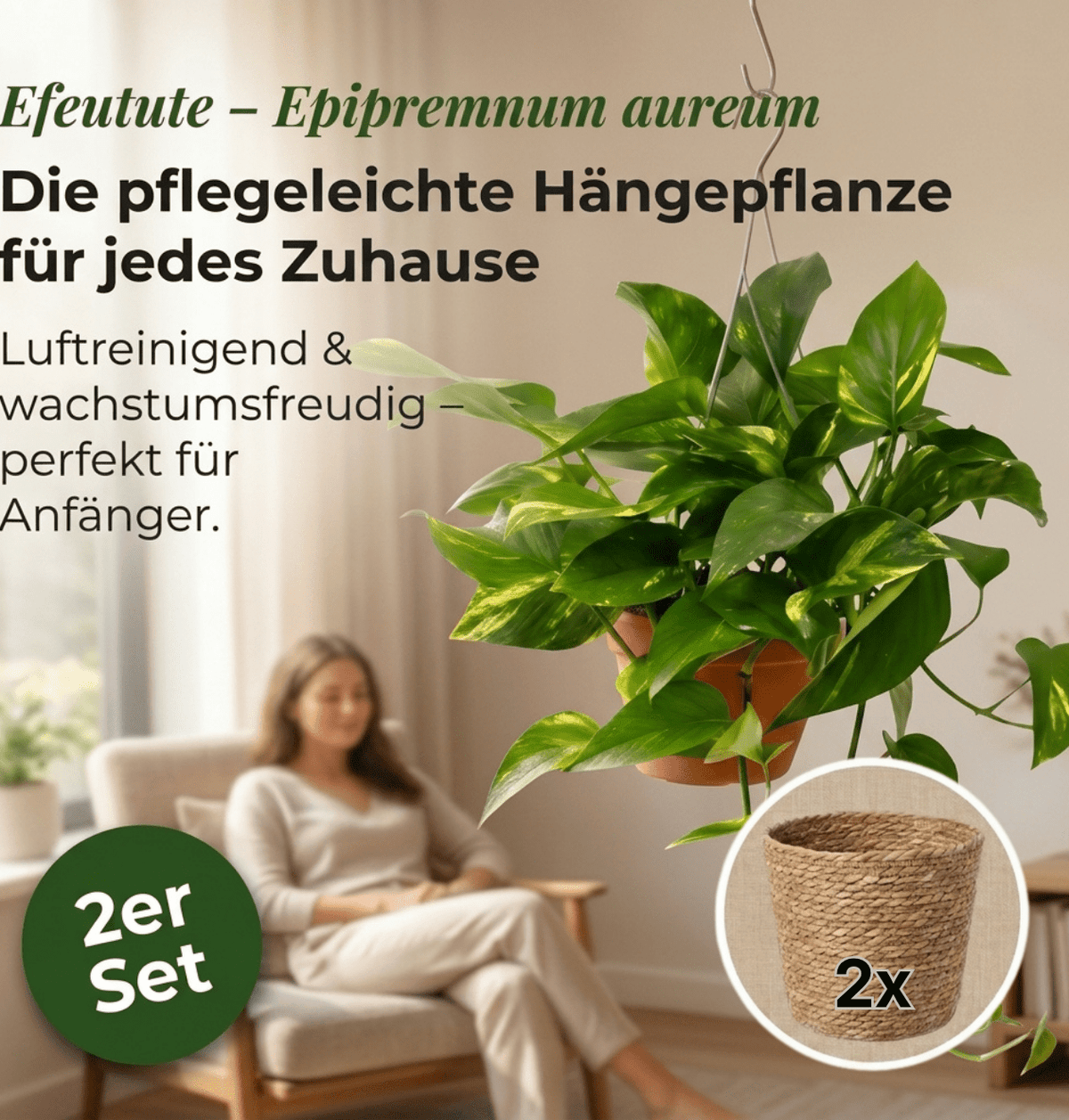 Efeutute (hängend) + 2x Seegraskorb | 2er-Set | Epipremnum aureum | ca. 30-35 cm | Ø 12-15 cm Topf - Blume Ideal