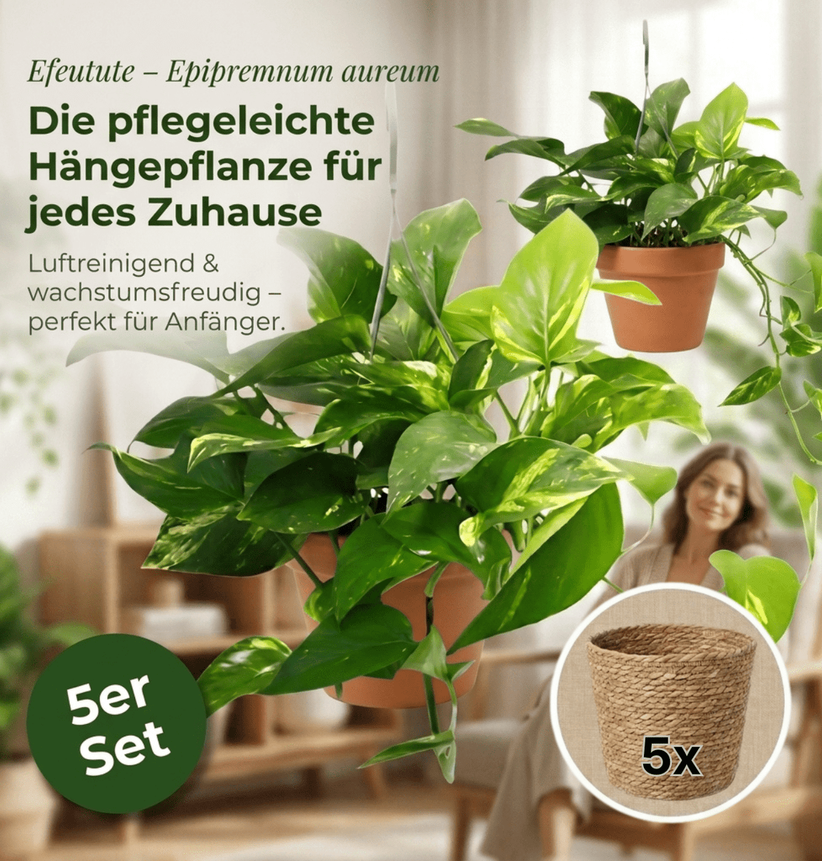 Efeutute (hängend) + 5x Seegraskorb | 5er-Set | Epipremnum aureum | ca. 30-35 cm | Ø 12-15 cm Topf - Blume Ideal