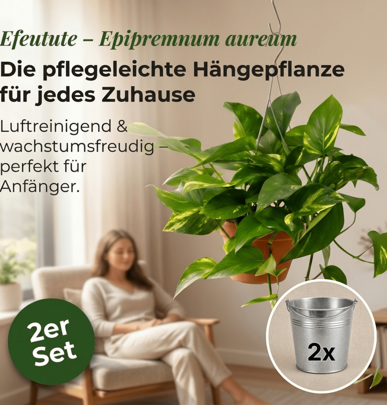 Efeutute (hängend) + Zinktopf | 2er - Set | Epipremnum aureum | ca. 30 - 35 cm | Ø 12 - 15 cm Topf - Blume Ideal