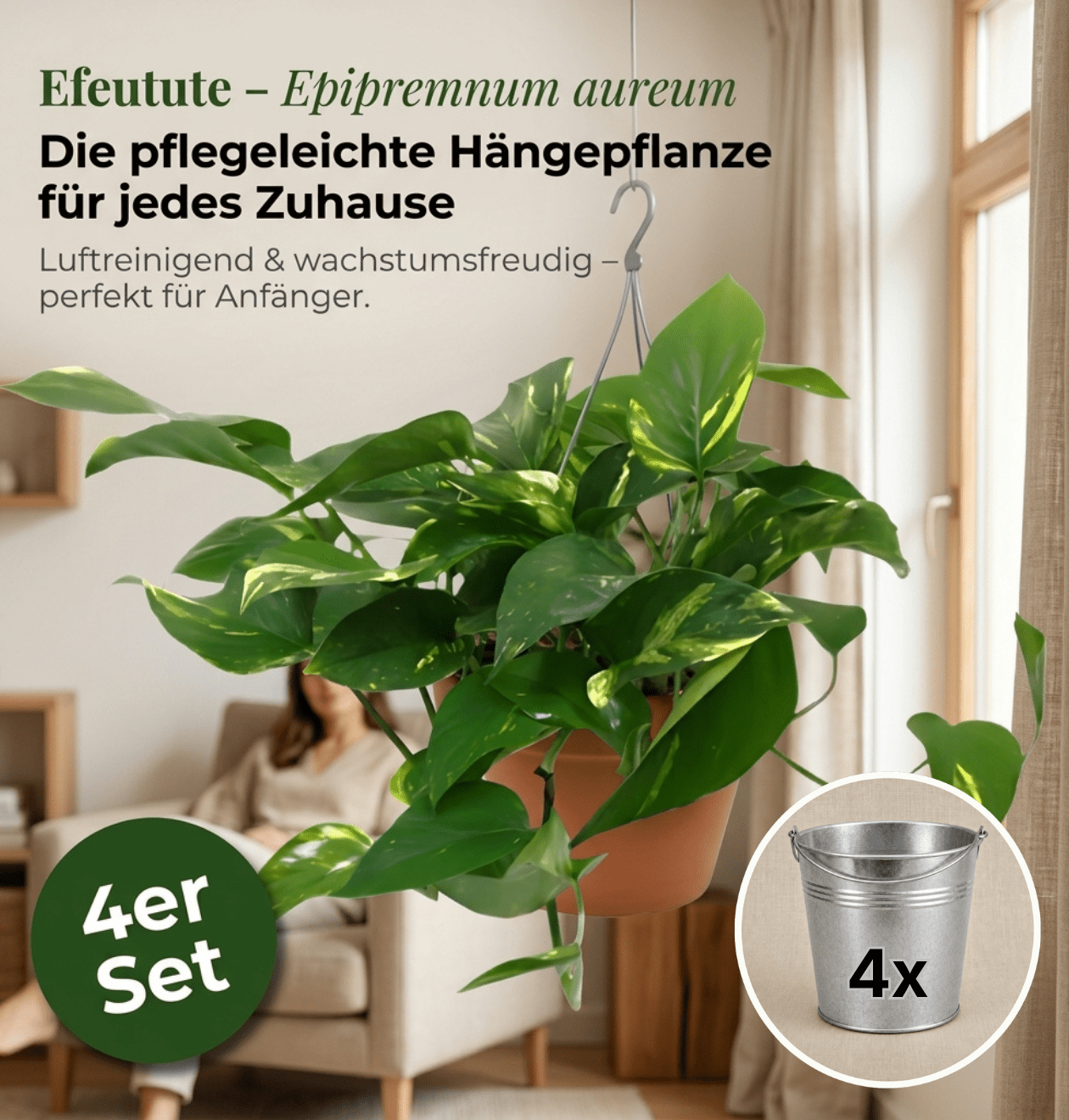 Efeutute (hängend) + Zinktopf | 4er - Set | Epipremnum aureum | ca. 30 - 35 cm | Ø 12 - 15 cm Topf - Blume Ideal