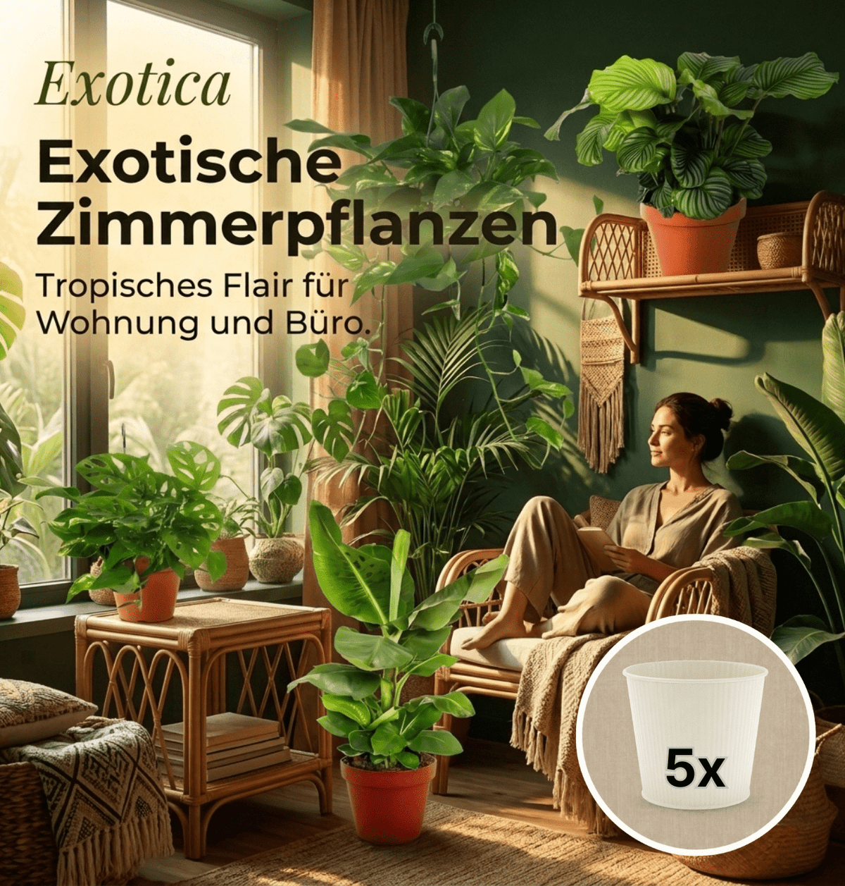 “Exotica” Pflanzenset + 5x Cremefarbener Zinktopf | 5er-Set | ca. 25-50 cm | Ø 12-15 cm Topf - Blume Ideal