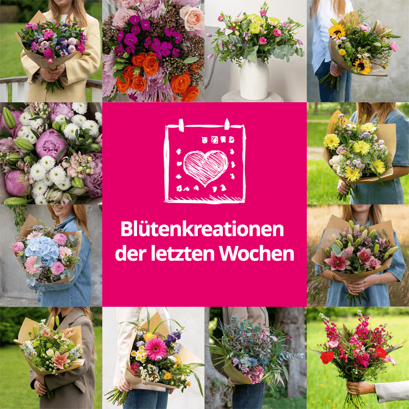 Feldblumenstrauß - Jede Woche neues Design - Blume Ideal