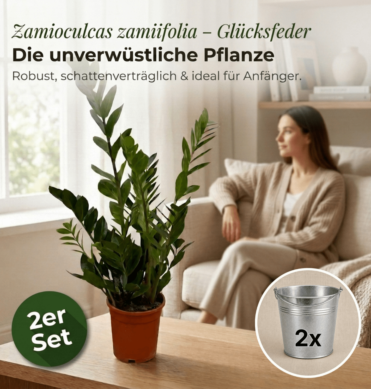 Glücksfeder + 2x Zinktopf | 2er-Set | Zamioculcas zamiifolia | ca. 40-50 cm | Ø 12-15 cm Topf - Blume Ideal