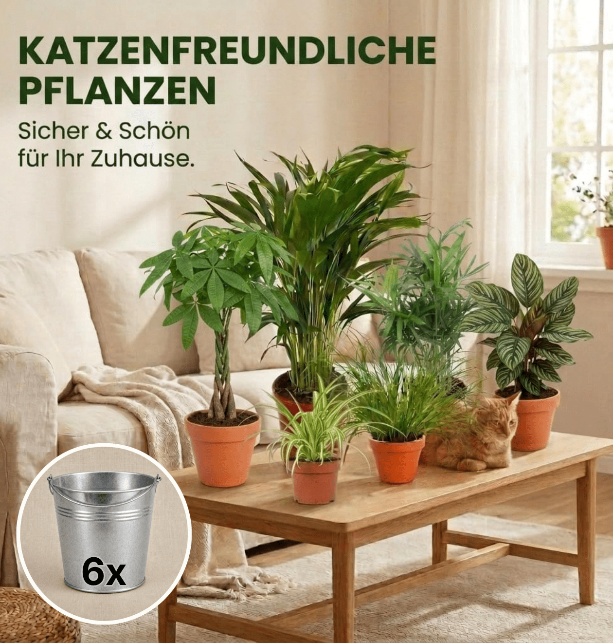 “Katzenliebhaber” Pflanzenset + Zinktopf | 6er - Set | ca. 30 - 45 cm | Ø 12 - 15 cm Topf - Blume Ideal