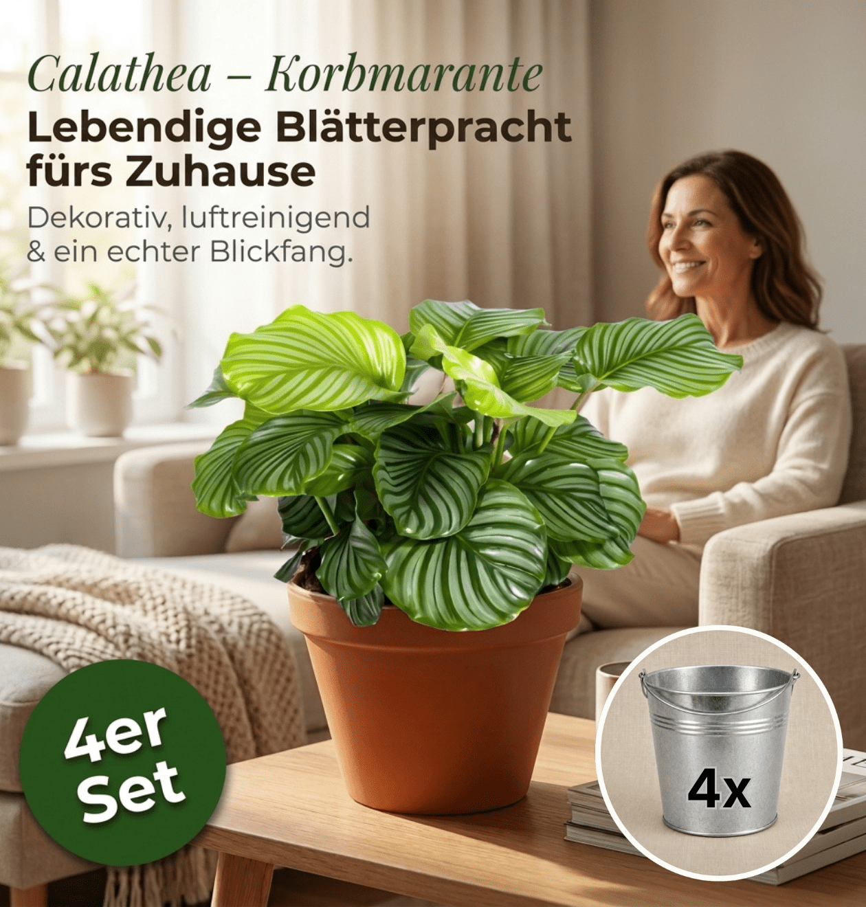 Korbmarante + Zinktopf | 4er - Set | Calathea | ca. 40 - 50 cm | Ø 12 - 15 cm Topf - Blume Ideal