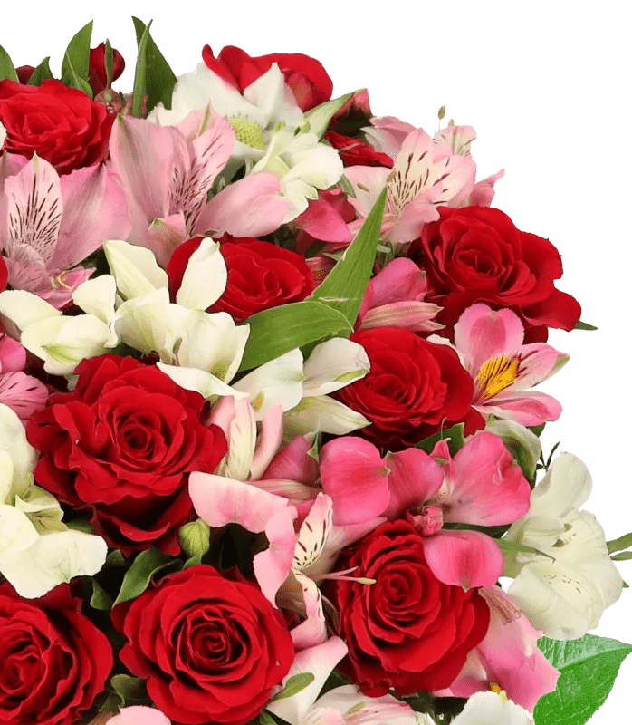 Liebesgruß mit bis zu 40 Blüten - Blume Ideal