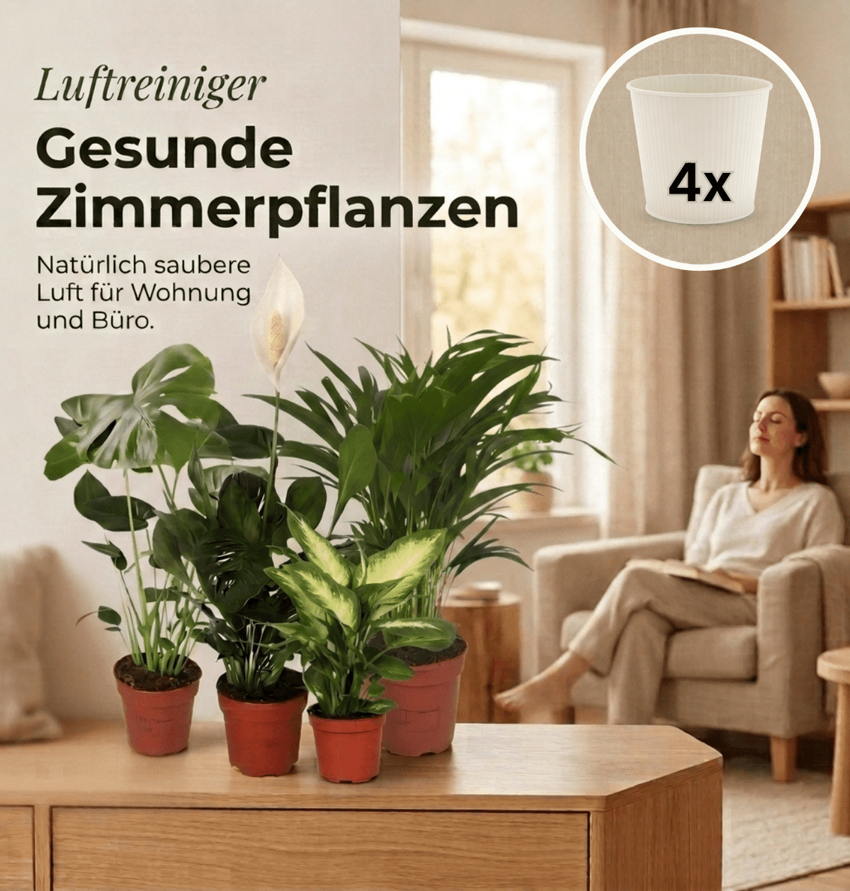 “Luftreiniger” Pflanzen-Set + 4x Cremefarbener Zinktopf | 4er-Set | ca. 40-70 cm | Ø 12-15 cm Topf - Blume Ideal