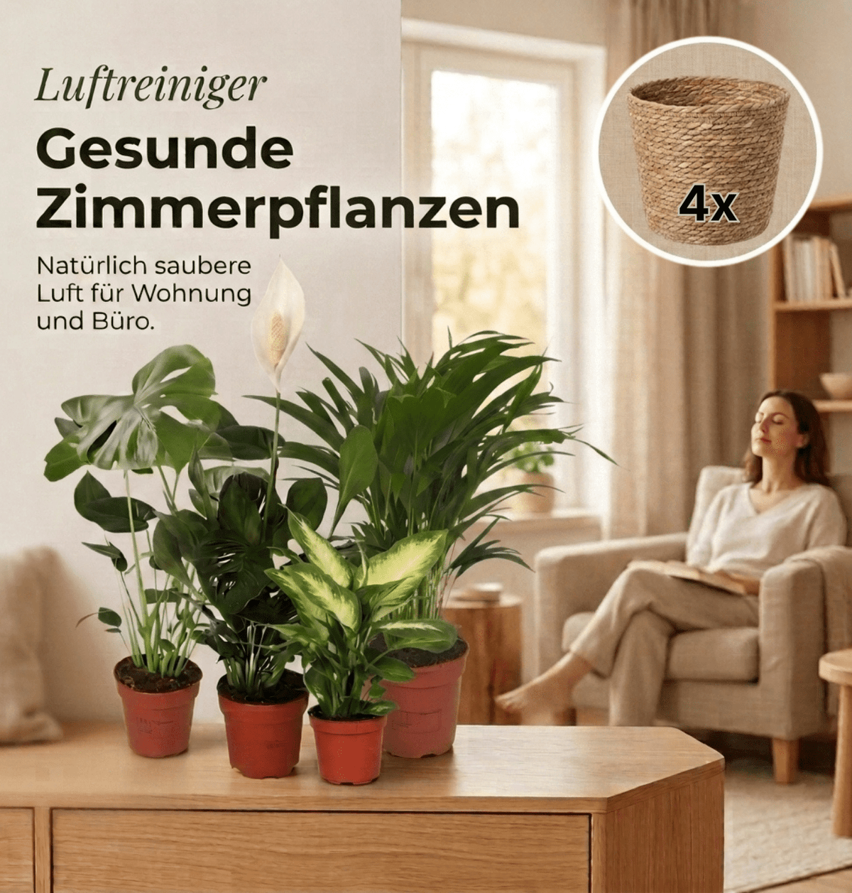 “Luftreiniger” Pflanzen-Set + 4x Seegraskorb | 4er-Set | ca. 40-70 cm | Ø 12-15 cm Topf - Blume Ideal