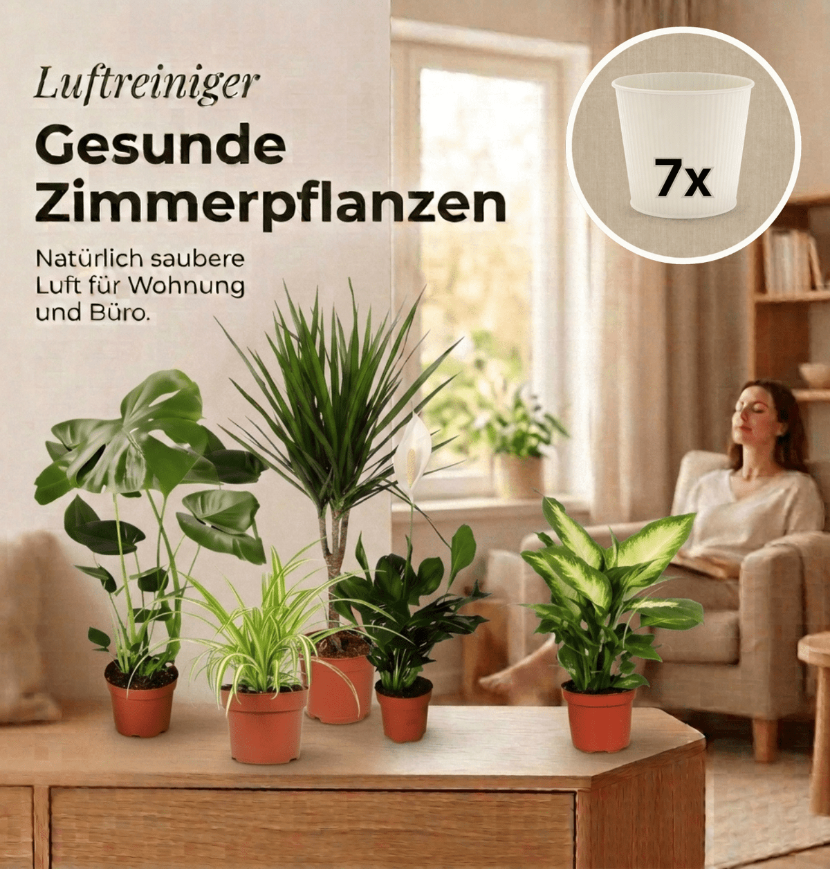 “Luftreiniger” Pflanzen-Set + 7x Cremefarbener Zinktopf | 7er-Set | ca. 30-70 cm | Ø 12-15 cm Topf - Blume Ideal