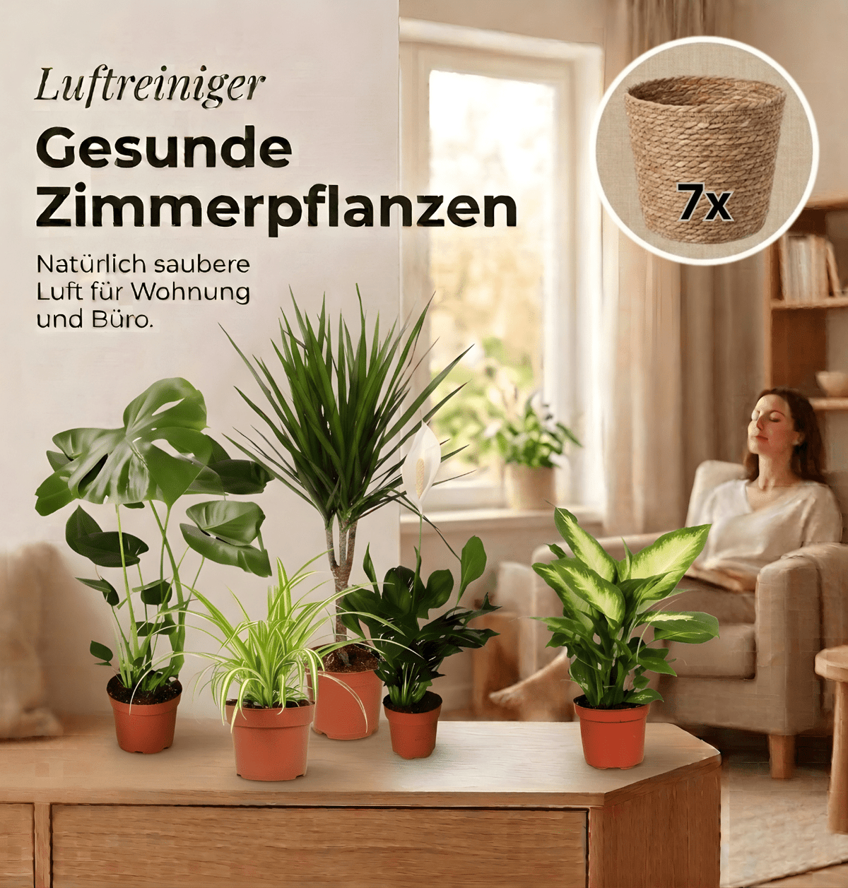 “Luftreiniger” Pflanzen-Set + 7x Seegraskorb | 7er-Set | ca. 30-70 cm | Ø 12-15 cm Topf - Blume Ideal