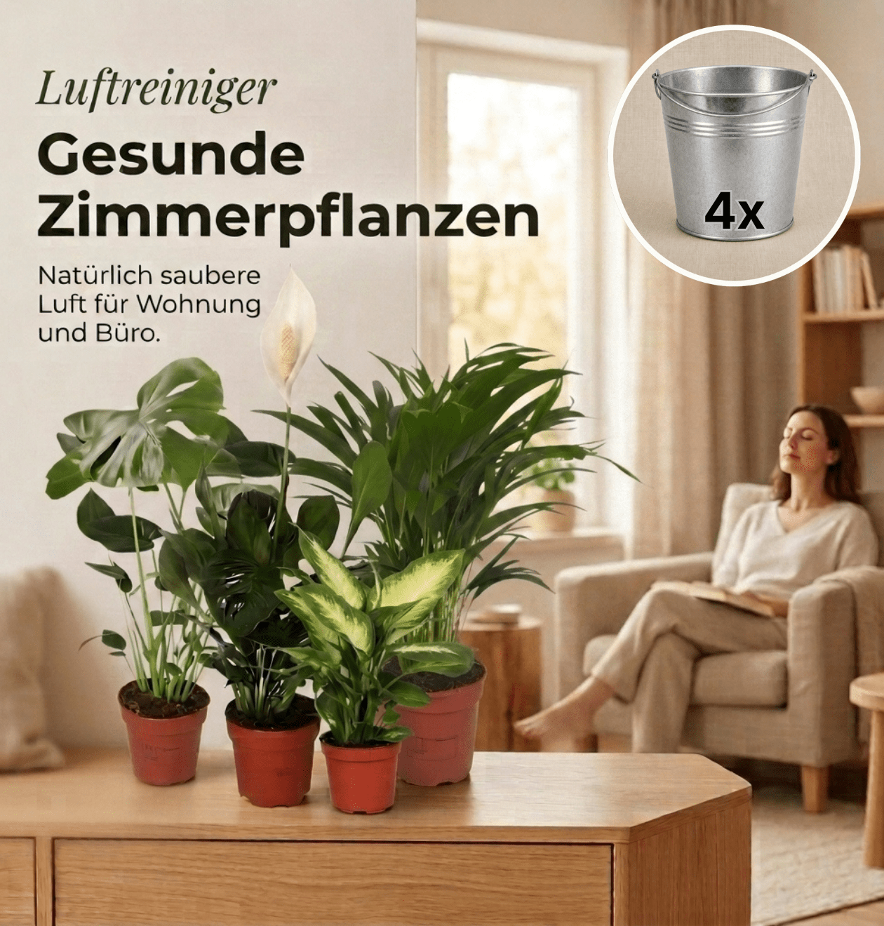 “Luftreiniger” Pflanzen - Set + Zinktopf | 4er - Set | ca. 40 - 70 cm | Ø 12 - 15 cm Topf - Blume Ideal
