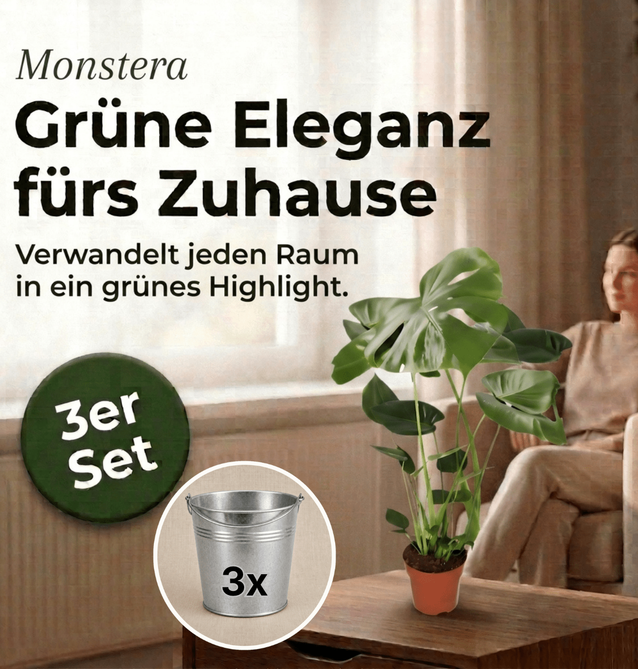 Monstera deliciosa + Zinktopf | 3er - Set | Fensterblatt | ca. 55 - 70 cm | Ø 12 - 15 cm Topf - Blume Ideal