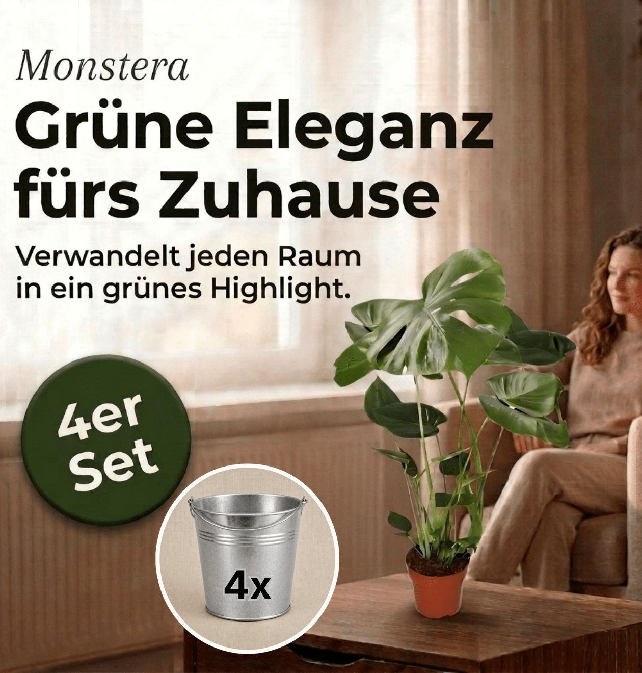 Monstera deliciosa + Zinktopf | 4er - Set | Fensterblatt | ca. 55 - 70 cm | Ø 12 - 15 cm Topf - Blume Ideal