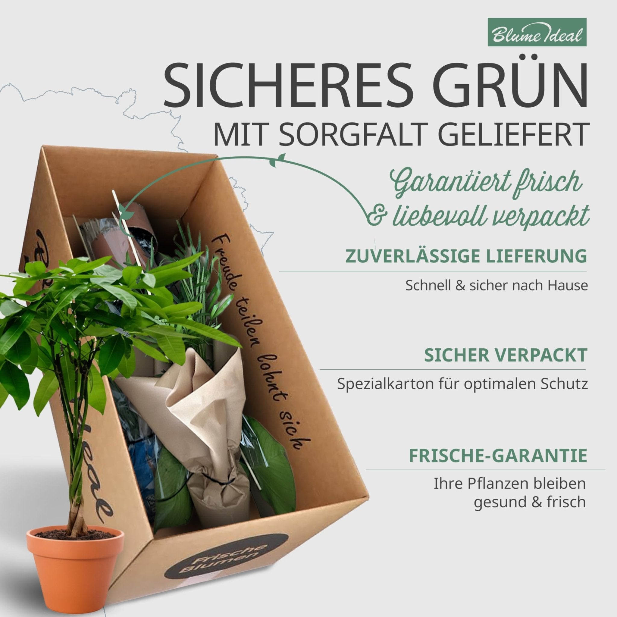 “Tierfreund” Pflanzen - Set + Zinktopf | 6er - Set | ca. 30 - 60 cm | Ø 12 - 15 cm Topf - Blume Ideal