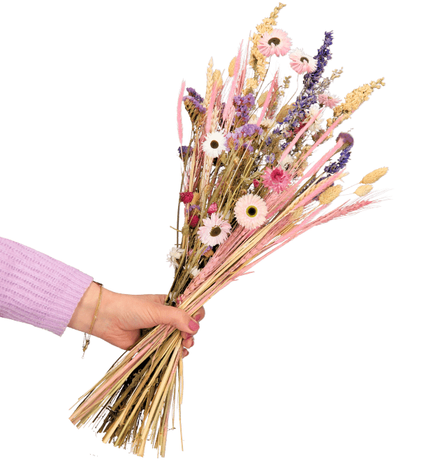 Trockenblumenstrauß "Thea" - Blume Ideal
