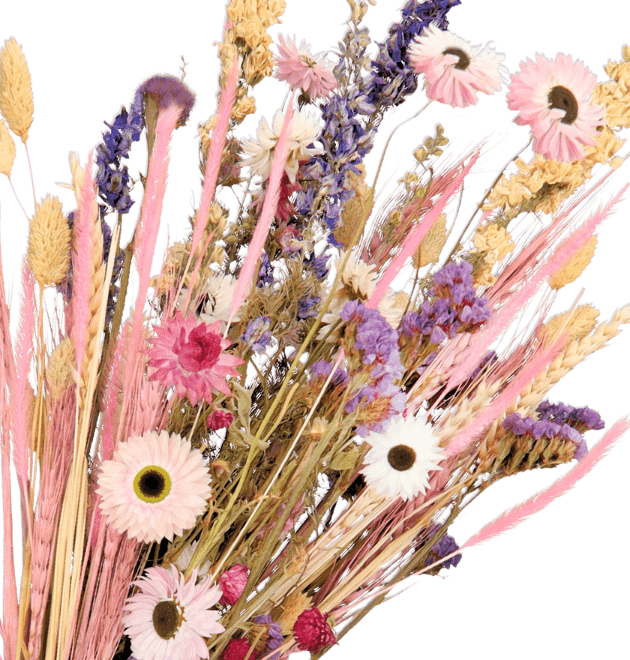 Trockenblumenstrauß "Thea" - Blume Ideal